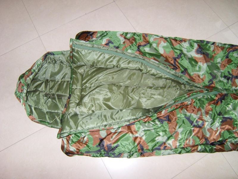 image005001 image005001